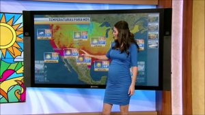 Ana Patricia Gamez SEXY and PREGNANT Part 1 000087