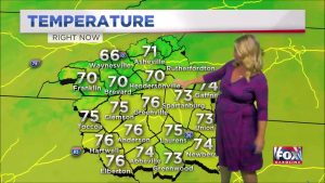 Nicole Papay SEXY Pregnant Weather Babe Part 1 000075