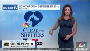 Sheena Parveen SEXY and Pregnant AMAZING BODY Part 1 000010